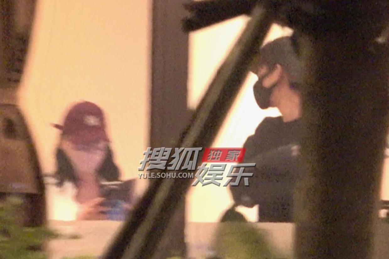 王子奇陈数深夜聚餐曝光 饭后急返取物引猜测