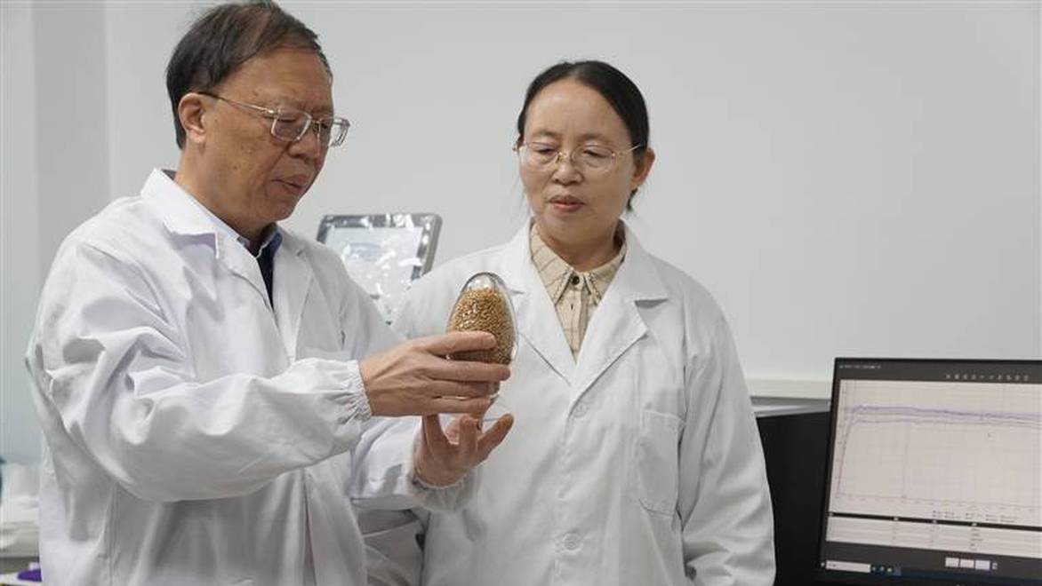 关注“5·15”国际家庭日丨光阴里的家话