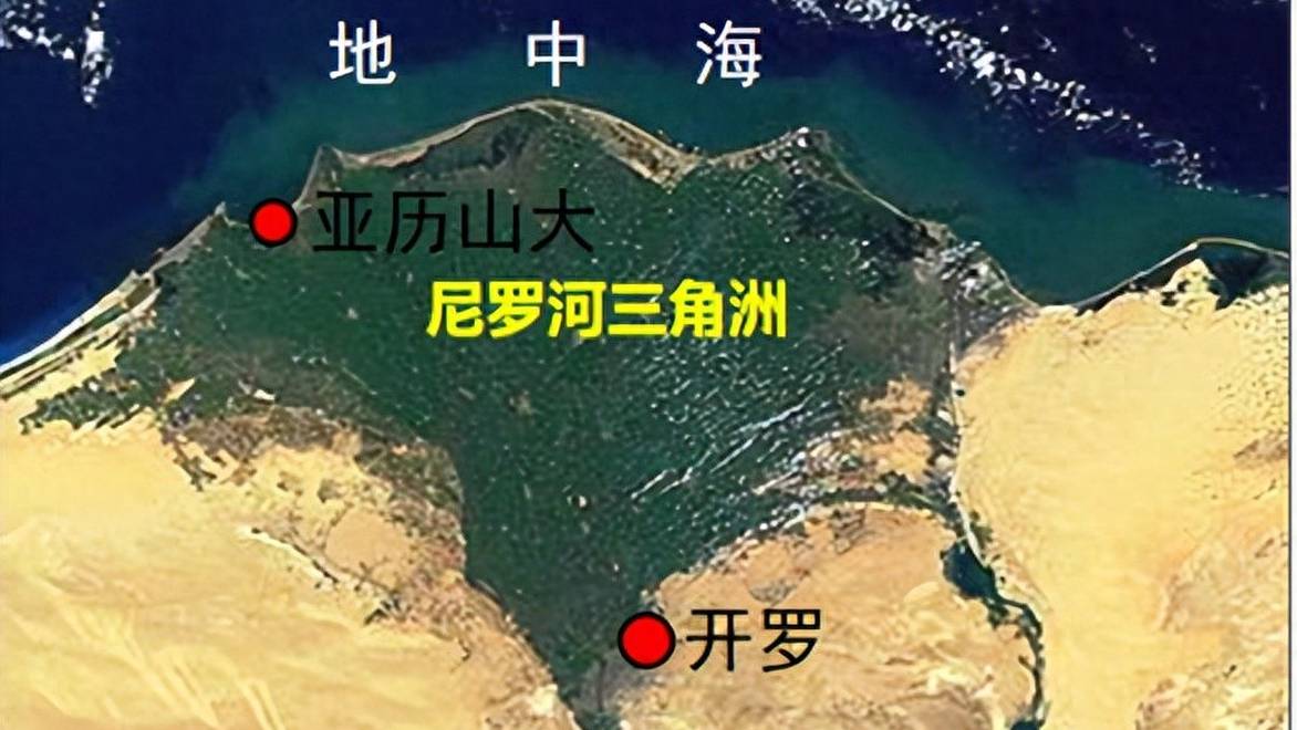 金字塔属于谁？现代埃及人晒基因报告：我们就是古埃及人直系后代