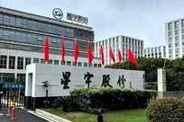 律师公开力挺星宇股份，提议把“告洋状”纳入扫黑除恶！遭全网怒斥：无良律师