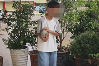 12岁小孩在花坛发现恐龙蛋化石