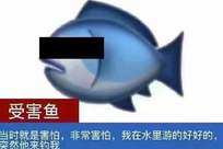 爱奇艺维权，普通人祭天