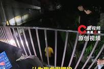 勇救落水女孩被疑摆拍？莫让见义勇为者自证清白