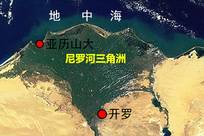 金字塔属于谁？现代埃及人晒基因报告：我们就是古埃及人直系后代