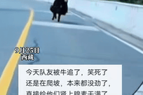 三名骑行者被牦牛追赶近半分钟，网友调侃“牛教练”来了，同伴：队友没受伤受到了惊吓