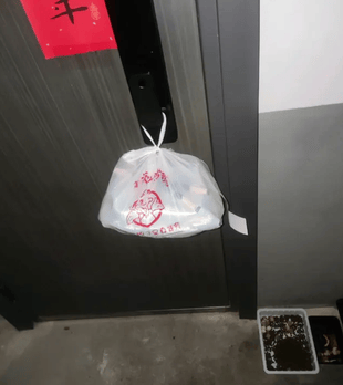 外卖小哥急忙提醒顾客：快拿外卖！有只丑猫想攻击你家饭！结果下一秒尴尬了…