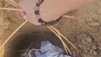 沙滩惊现竹签陷阱，女子吓出一身冷汗