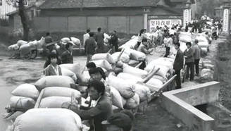 国企职工可“视同缴社保” 农民交公粮不算？