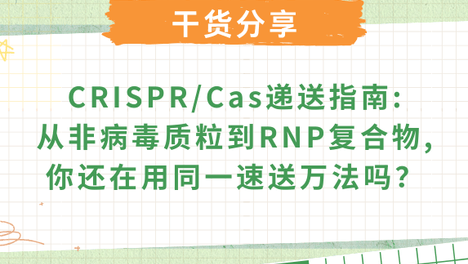 CRISPR/Cas四大递送方法的优劣与选择逻辑