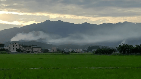 智库观点 | 李建伟：AI对城市、建筑、景观的影响