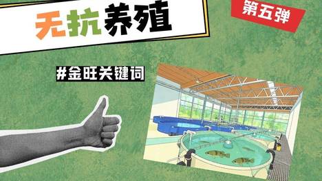 内容配图