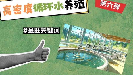 内容配图