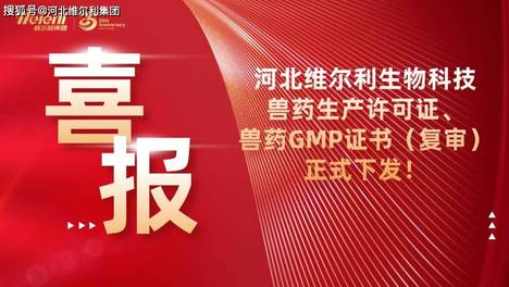 【喜报】维尔利集团生物科技智慧工厂兽药生产许可证、兽药GMP证书（复审）正式下发！