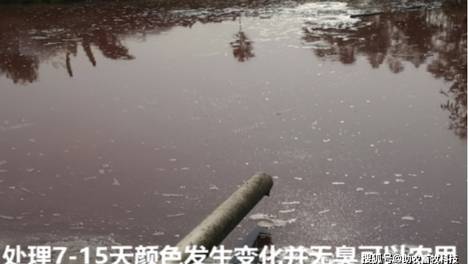 大量存留的高浓度有机废水快速处理的几个误区与实战技巧，撒生石灰、烧碱没用更难处理，单一好氧菌种和EM菌都处理不了