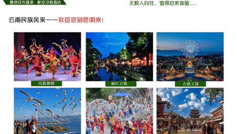云南民族风采遇见荷兰花艺：花间密码的文化融合之道
