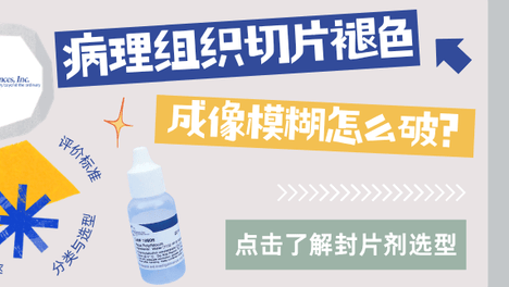 病理组织切片总褪色、成像模糊？从封片剂选型与操作提升成像质量