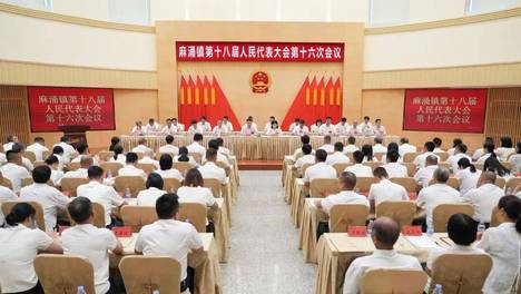 黄晓敏全票当选麻涌镇人民政府镇长