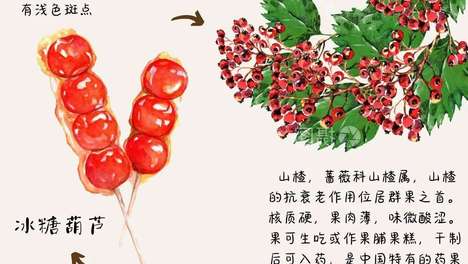 酸涩山楂如何逆袭成清代贡品？它曾是冰糖葫芦前身，还被用来传军情
