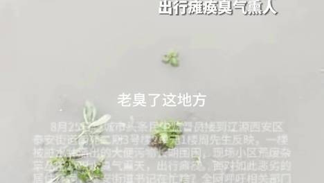 内容配图