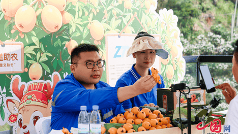 当政协委员“进百村”，快递小哥为何做起了直播？——福建省政协的“中国式商量”实践