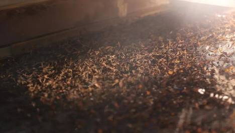 精筛细选铸标准 匠心提质定茶香——实地探访理想华莱万隆黑茶产业园筛分车间