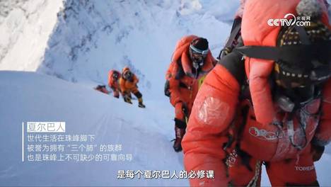 央视镜头下的“中国成分”：松达如何让千年山茶油成为婴童特护的科学答案