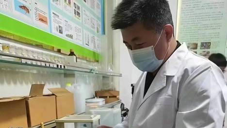 黄土高坡上的“树木医生”——白云尚的治绿兴农故事