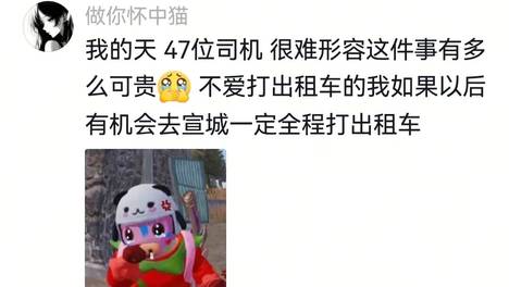 流浪狗失踪宣城出租车司机地毯式寻找，发现狗子遭遇车祸生命垂危，47位好心司机合力送到了医院，评论区泪目：这才是真正意义的文明社会…