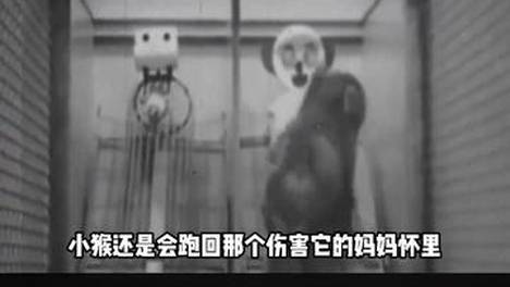 内容配图