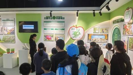 【关爱“一老一小”】龙泉街道春晖社区开展青少年一对一结实践活动