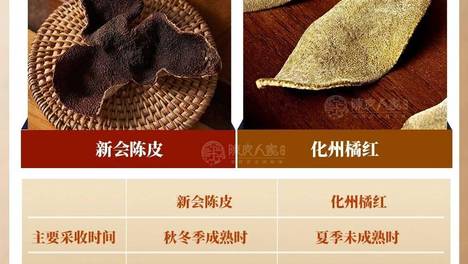 新会陈皮VS化州橘红，谁更厉害？
