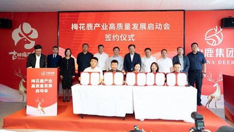 吉林省推动“吉字号”梅花鹿产业高质量发展 筑牢标准根基 迈向全国市场