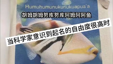 当科学家意识到起名自由度很高时