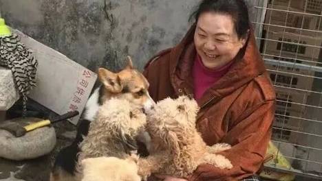 艰难 | 济南1000多只毛孩子即将断粮，急需照顾！
