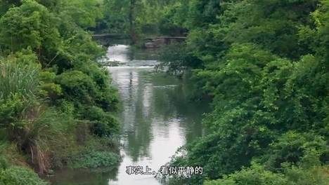 滁州市直义务教育学校新生入学登记服务指南