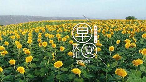 早安庆阳丨重要规划发布！事关你的快递→