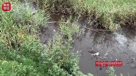 污水处理站白天净水，深夜直排污水……这些民生治污工程形同虚设→