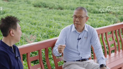 农夫山泉钟睒睒：电商“杀”了城市的很多零售商，必须限制平台权力