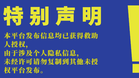 选择买不到的爱|20260810期线上领养日