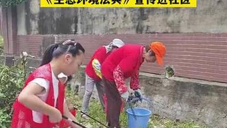 “法”护绿水青山 “典”亮美好生活 《中华人民共和国生态环境法典》宣传进社区