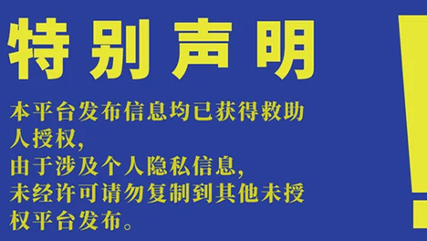 选择买不到的爱|20260910期线上领养日