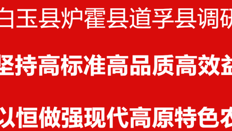 赵波在白玉县炉霍县道孚县调研时强调：坚持高标准高品质高效益，持之以恒做强现代高原特色农牧业