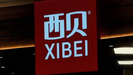 “西贝将倒闭”热搜爆了！老板娘540万质押背后的真相