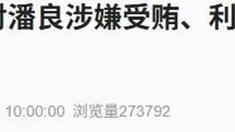 潘良被提起公诉