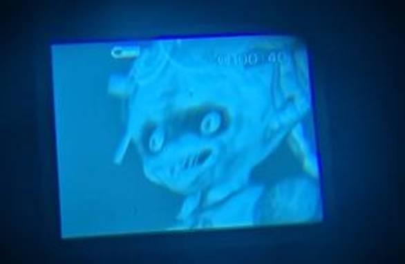 卜凡 出道是为了入道