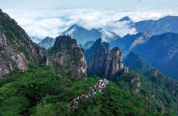 中国网协祝贺王欣瑜晋级决赛