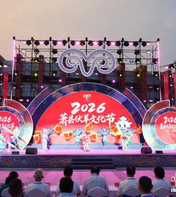 安徽萧县伏羊文化节全域联动点燃夏日经济