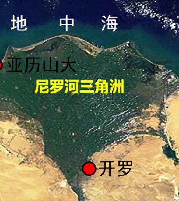 金字塔属于谁？现代埃及人晒基因报告：我们就是古埃及人直系后代