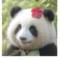 小小楠爱生活