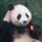 科技智多星
